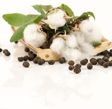 cotton-seeds